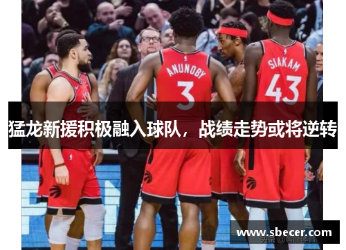 猛龙新援积极融入球队，战绩走势或将逆转