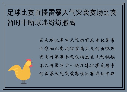 足球比赛直播雷暴天气突袭赛场比赛暂时中断球迷纷纷撤离